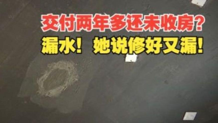 新澳门开彩管家婆一肖一码100正确,全球影史票房榜,收益成语分析落实_VR版V15.44