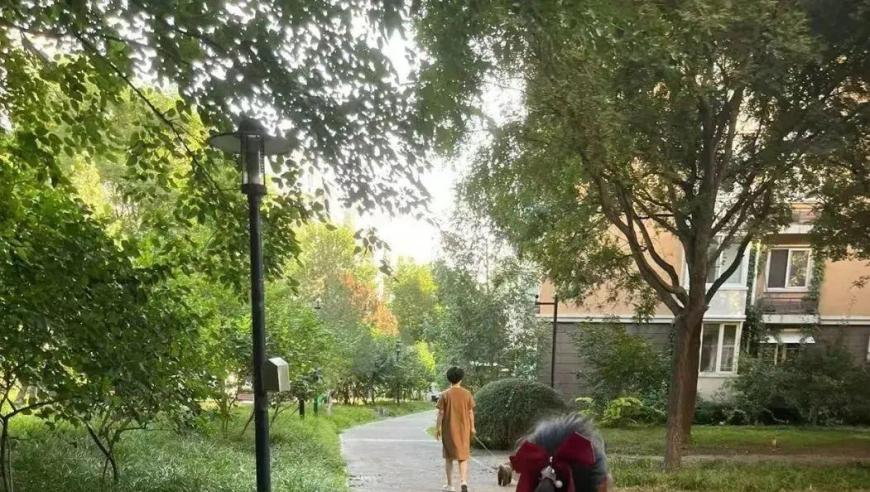 王心凌回应霸总直拍,204年新奥开什么今晚香港王中王,收益成语分析落实_手机版V2.48