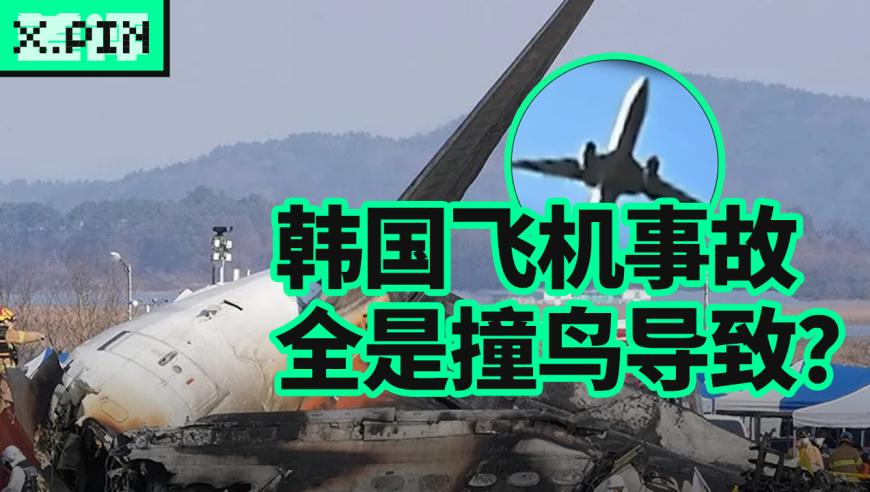 打开澳门网站资料2349下载,中国学霸杀疯了,全面解答解释落实_创新版V5.19